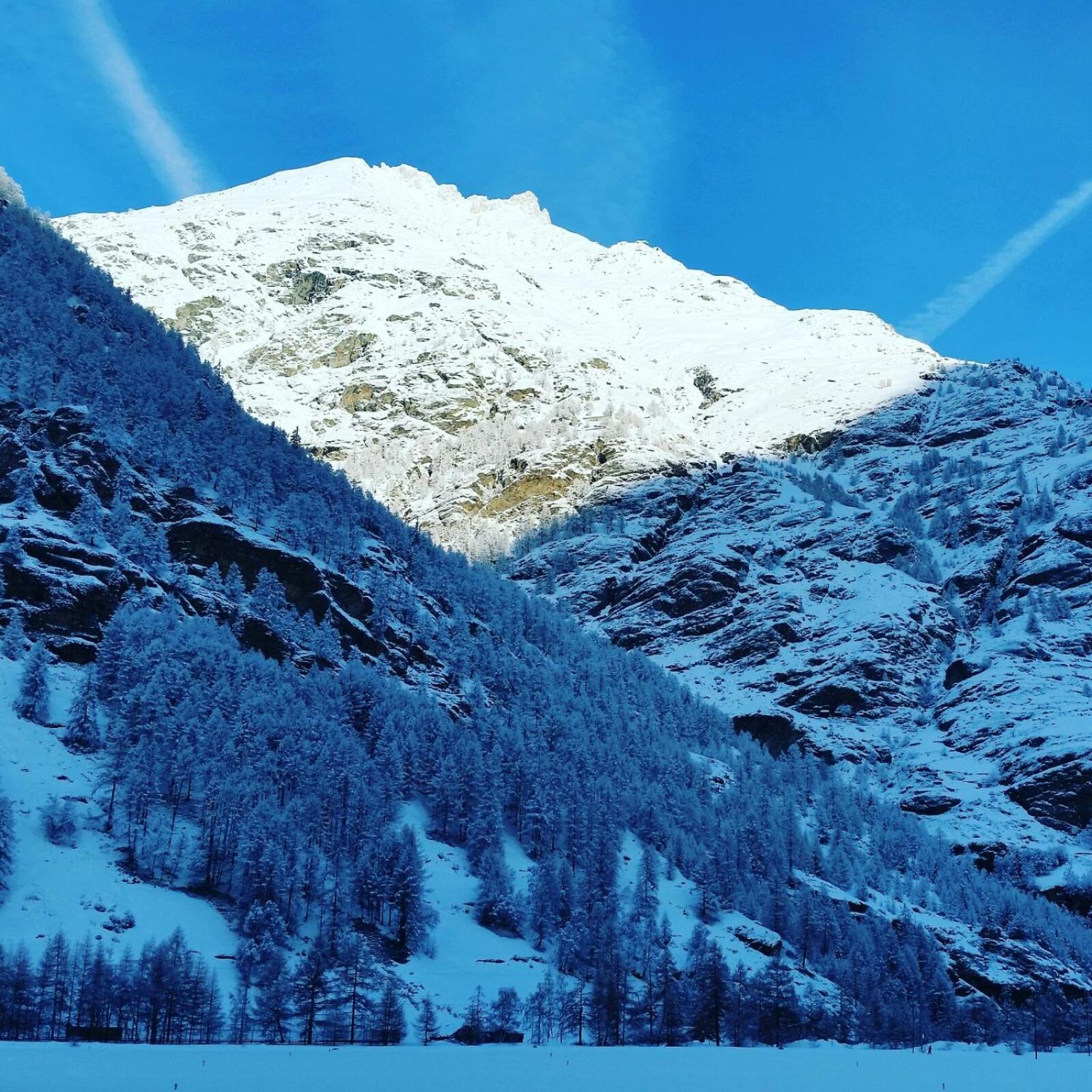 Monte Rosa Taesch, Apartments Mit Wellness Bereich 外观 照片